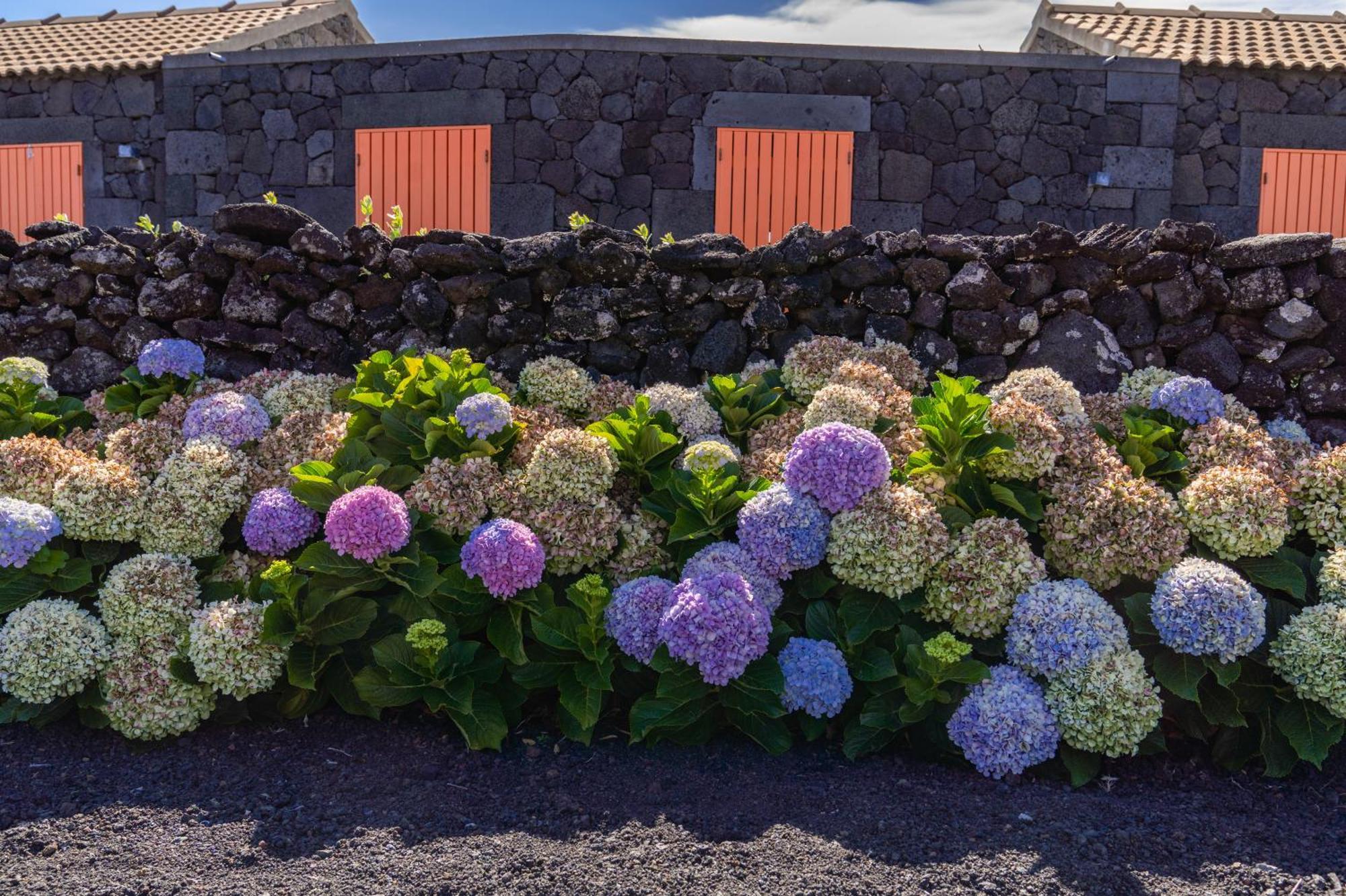 Paraiso Do Triangulo Vendégház Lajido Kültér fotó